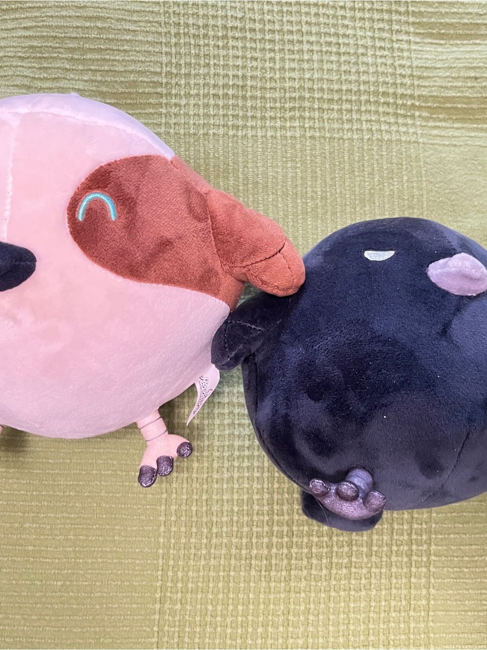 Webtoon The Croaking Limited Plush Scra and Ky